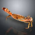 Orange Red Crab With Shiny Shell On Dark Background With Reflection