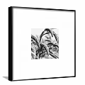 Framed Black And White Plant Art Featuring Wheat Ears On White Background 3d model
