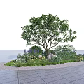 Flower Bed and Planter with Large Tree Colorful Flowers Decorative Stones and Paved Ground