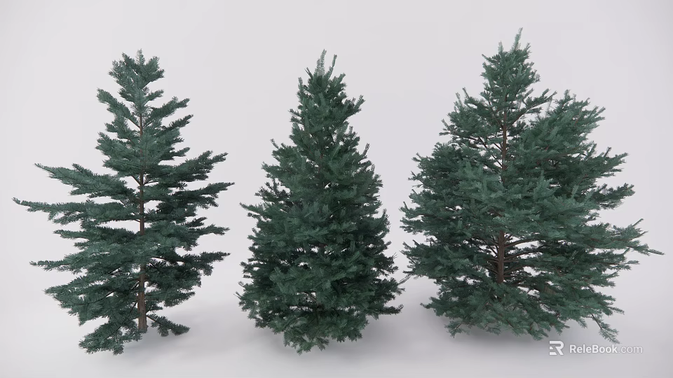 Different Shaped Green Evergreen Coniferous Trees with Lush Foliage and Natural Growth 3d model 