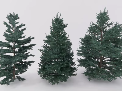 Different Shaped Green Evergreen Coniferous Trees with Lush Foliage and Natural Growth 3d model