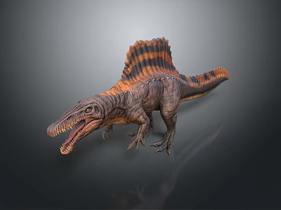Detailed Spinosaurus Dinosaur Model With Sail Back Open Mouth Sharp Teeth And Brown Orange Coloration 3d model