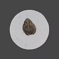 Game Movie Toad Character Sitting On White Circular Platform With Black Background