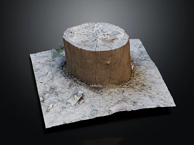 Natural Wooden Stump Placed on Square Stone Slab with Small Stones and Plants 3d model