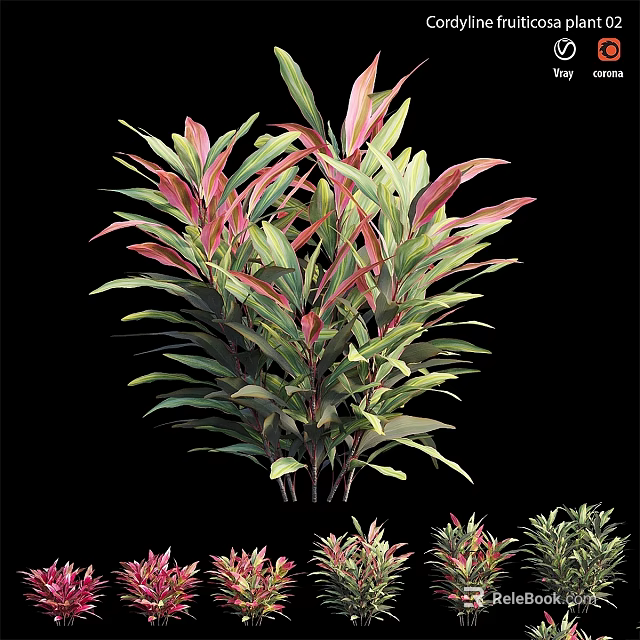 Small Garden Plant with Red and Green Leaves for Decorative Landscaping 3d model 