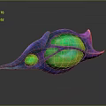 Vibrant Fantasy Character Creature Featuring Glowing Green Purple Biological Structure