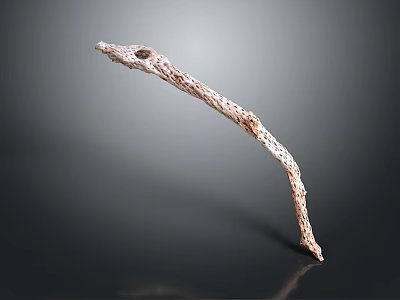 Light Brown Twig Like Object With Textured Surface And Curved Shape On Dark Background 3d model
