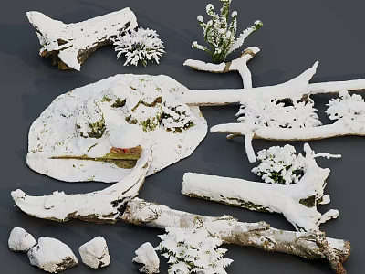 Natural Snow Covered Stones And Wood Branches With Small Plants And Green Moss 3d model