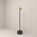 Modern Floor Lamp with Black Stand Round Base and Golden Lamp Head