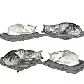 Set of Four Curled Up Cat Plush Toys Sleeping On Gray Cushions