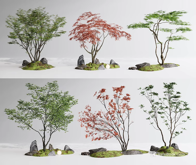 Ornamental Landscape Trees with Green Red Foliage Rocks and Mossy Ground 3d model 