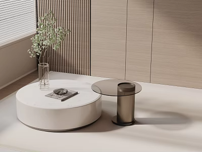 Round White Marble Coffee Table Set with Green Plant Magazine and Light Wood Wall 3d model