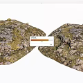Natural Stone And Wood Textured Surfaces With Mossy Rustic Finish