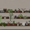 Multiple Wooden Shelves With Potted Plants Photo Frames Books And Decorative Items For Indoor Decor
