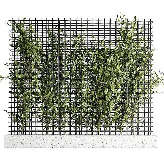 Modern Green Plant Wall Vine Barbed Wire Fence Plant Green Plant Vine Green Plant Wall 3d model