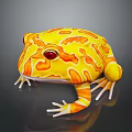 Yellow and Orange Frog with Red Eyes on Dark Background with Reflective Surface 3d model