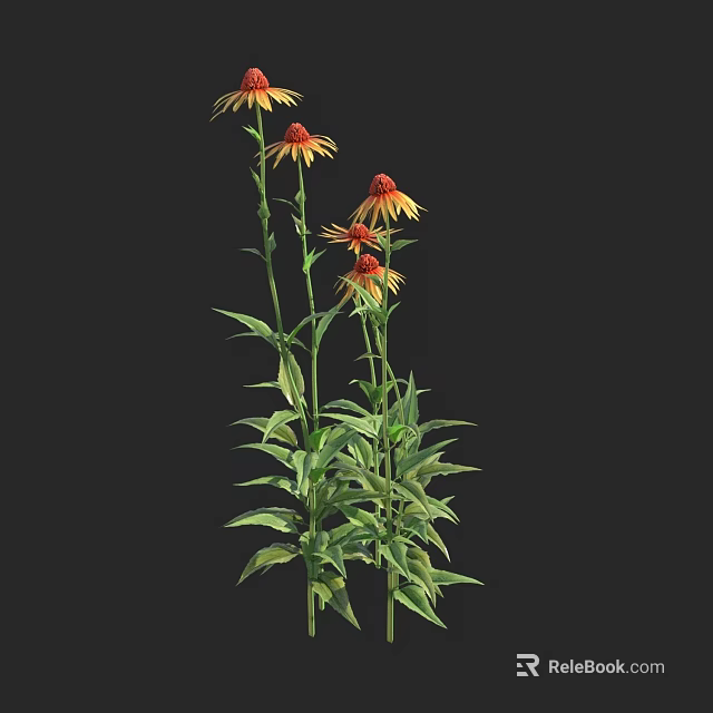 Vibrant Echinacea Flowers With Yellow Red Petals And Tall Green Leafy Stems 3d model 