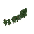 Pruned Arbor With Green Foliage And Red Accents For Garden Landscape Design
