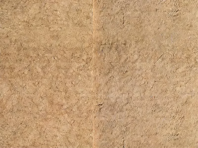 Natural Textured Brown Background Wall With Rough Surface And Earthy Tones 3d model
