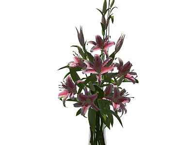 Decorative Pink Lilies Arrangement in Glass Vase with Green Stems and Leaves 3d model