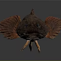 Vibrant Red And Brown Fish With Large Eyes And Distinctive Fins On Gray Gradient Background