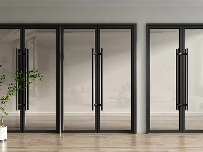 Modern Black Frame Glass Double Doors With Clear Panels In Bright Interior Space 3d model
