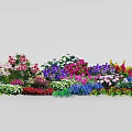 Colorful Mixed Flowers In Garden With Various Blooms And Green Foliage