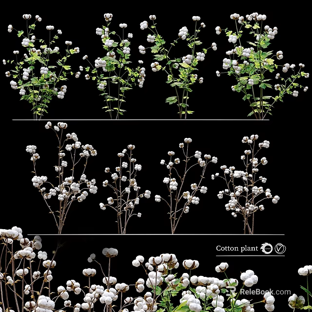 Garden Decor Showcasing Cotton Plants With White Blooms And Green Leaves 3d model 