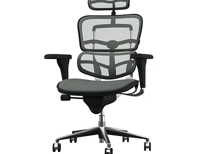 Ergonomic Office Chair With Mesh Back Adjustable Headrest Black Armrests And Silver Base 3d model