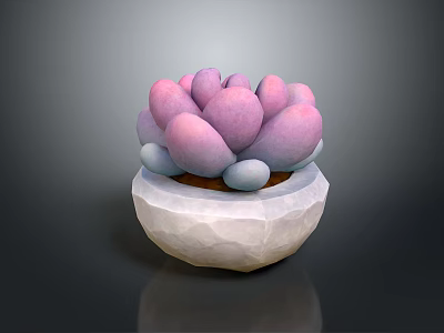 Elegant Pink Purple Succulent Plant With Plump Leaves In White Stone Pot 3d model