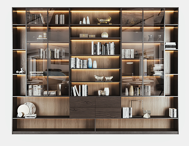 Modern bookcase 3d model