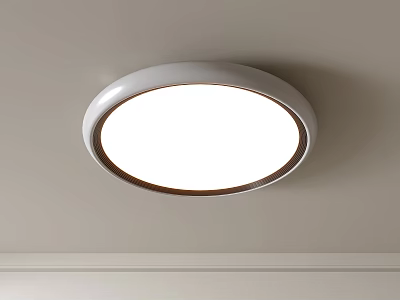 Modern Round Flush Mount Ceiling Light With White Design Brown Trim And Bright Illumination 3d model