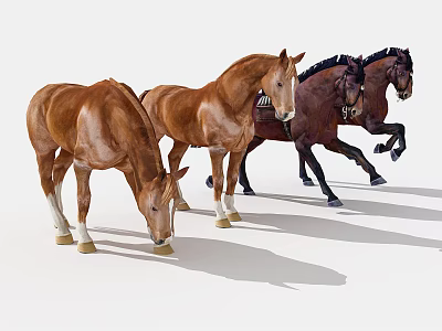 Four Brown and Dark Brown Horses with Two Standing Lowering Heads and Two Running 3d model
