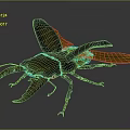 Blue Beetle With Large Horns And Wings Near Green Leaf On Dark Background