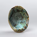 Abalone shell jewelry shellfish jewelry abalone shell specimen shell carapace 3d model