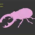 Decorative Golden Beetle Ornament With Intricate Patterns For Home Living