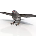 Realistic Small Bird With Spread Wings Standing On White Background Showing Detailed Feathers And Claws