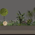 Colorful Flowers and Diverse Plants in Flower Bed With Round Green Shrub and Gray Wall