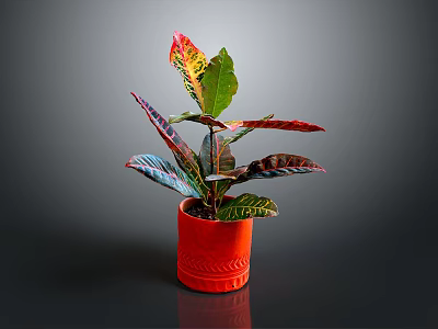 Vibrant Variegated Leaf Houseplant In Red Textured Pot On Gray Background 3d model