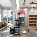 Modern Café Interior With Wooden Counter Green Chair Shelves And Cat