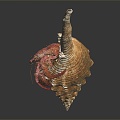 Modern Hermit Crab Conch Crab 3d model