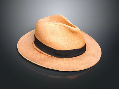 Light Brown Woven Straw Hat with Black Band Classic Summer Fashion Accessory 3d model