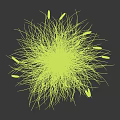 Green Grass With Black Slender Spikes And Blue Fibrous Roots Naturally Growing On White Background