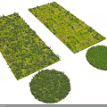 Lush Green Ground Cover Plants In Rectangular And Circular Shapes For Garden Landscaping