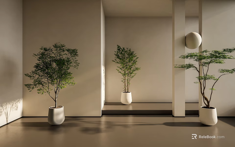 Bonsai Potted Plants In Modern Interior White Pots Light Walls Mirror Reflection Bright Lighting 3d model 