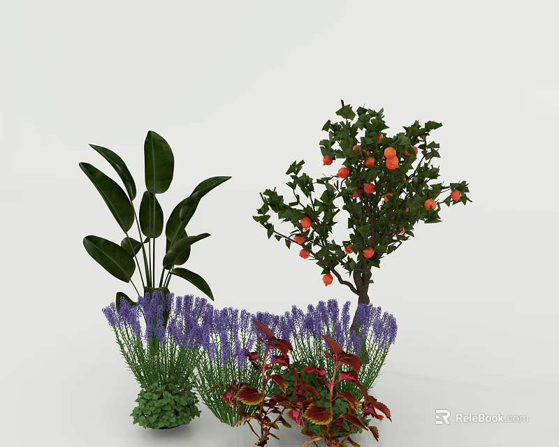 Various Plants With Large Green Leaves Purple Lavender Red Fruits And Red Leaves 3d model 