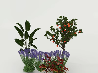 Various Plants With Large Green Leaves Purple Lavender Red Fruits And Red Leaves 3d model