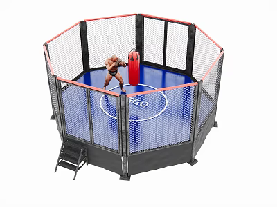Octagonal Martial Arts Training Cage With Punching Bag And Blue Mat Sports Equipment 3d model