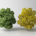 Lush Green Arbor and Bright Yellow Tree with Dense Foliage on Gray Background
