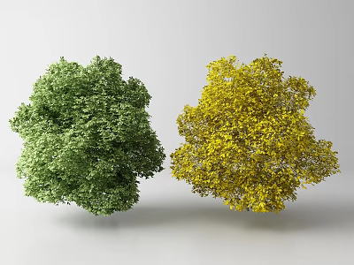 Lush Green Arbor and Bright Yellow Tree with Dense Foliage on Gray Background 3d model